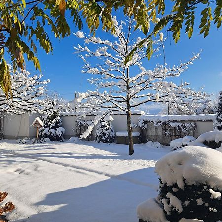 Hotel Gasthof Brandstaetter Σάλτσμπουργκ Εξωτερικό φωτογραφία