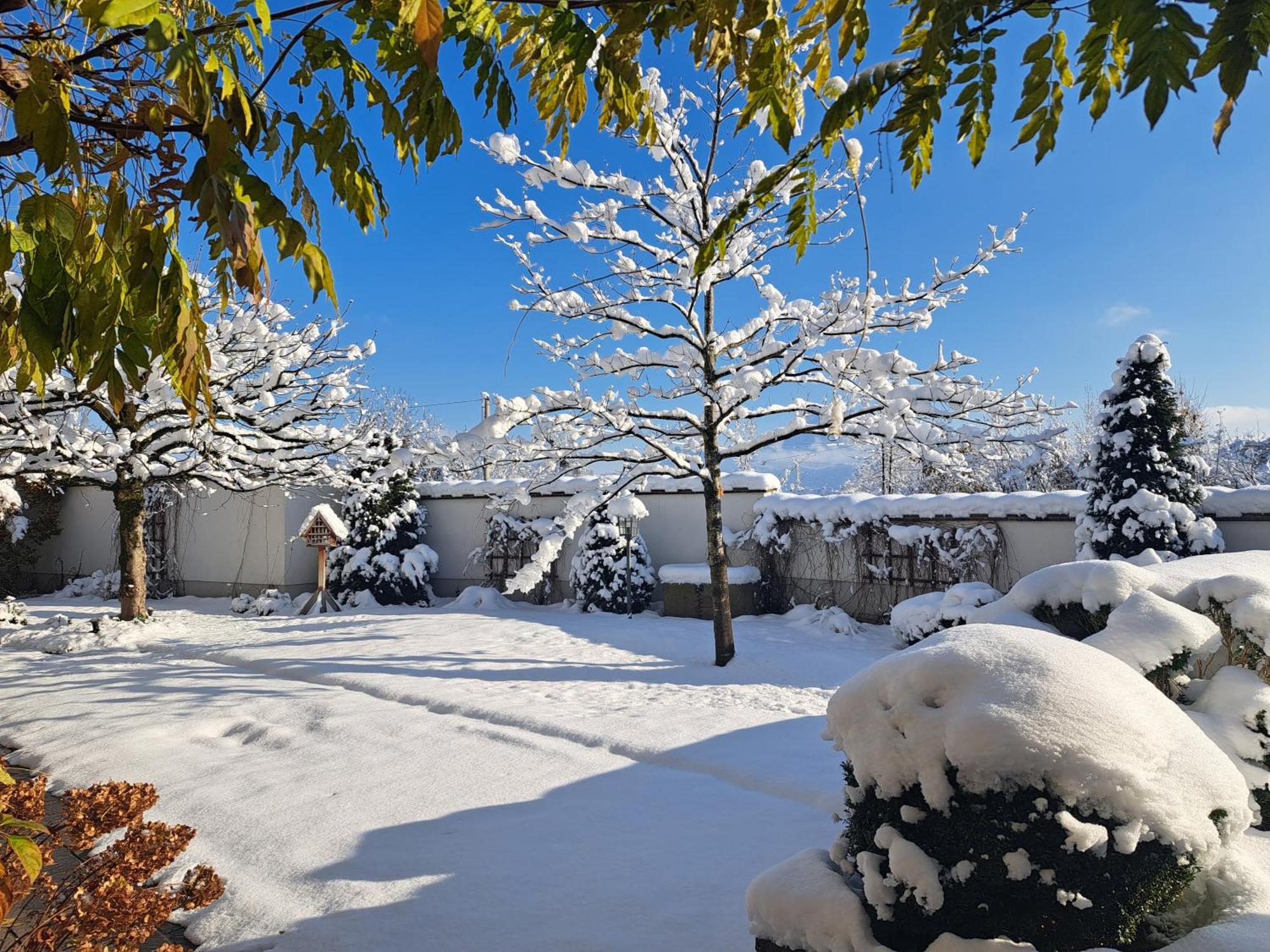 Hotel Gasthof Brandstaetter Σάλτσμπουργκ Εξωτερικό φωτογραφία